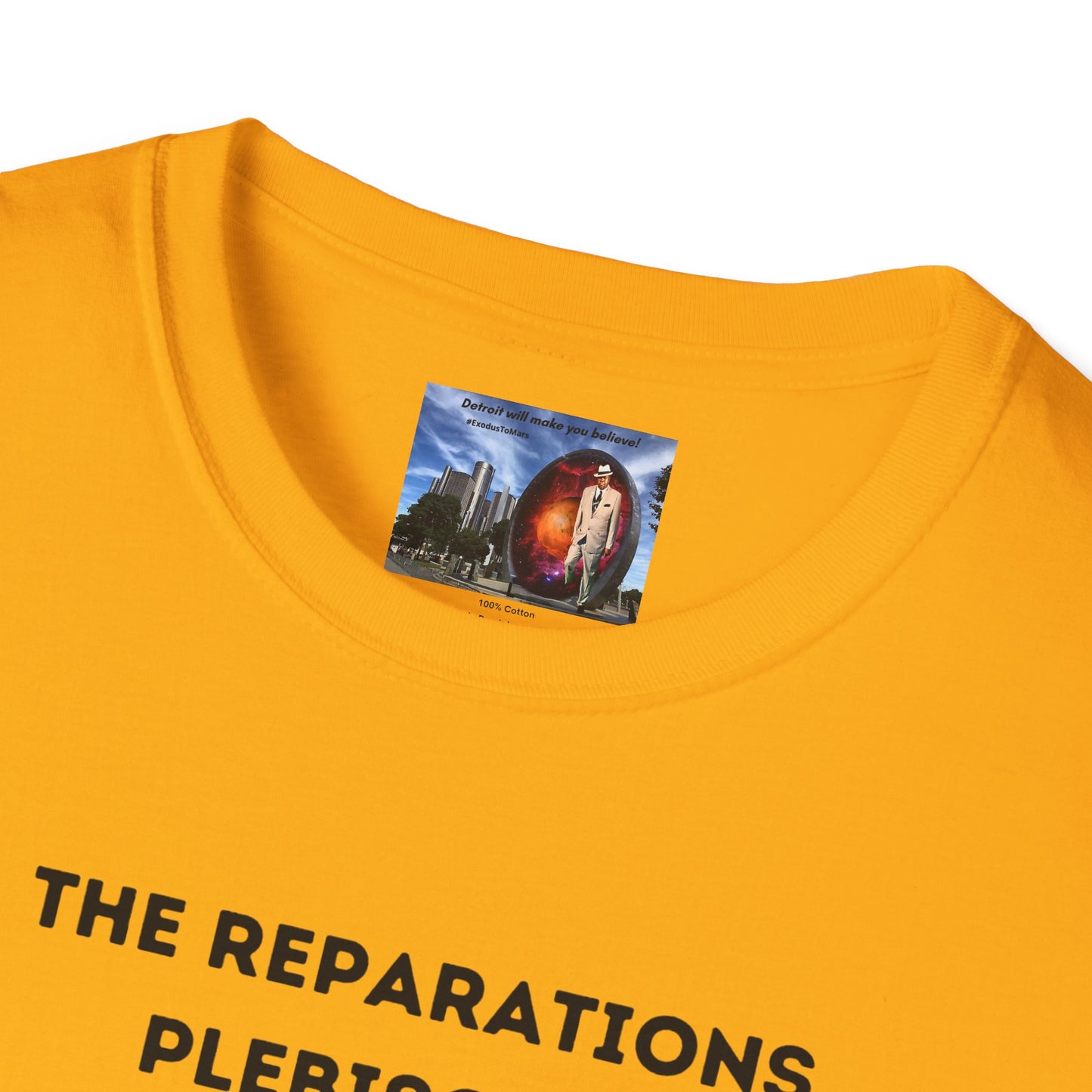 Reparations Plebiscite Softstyle T-Shirt