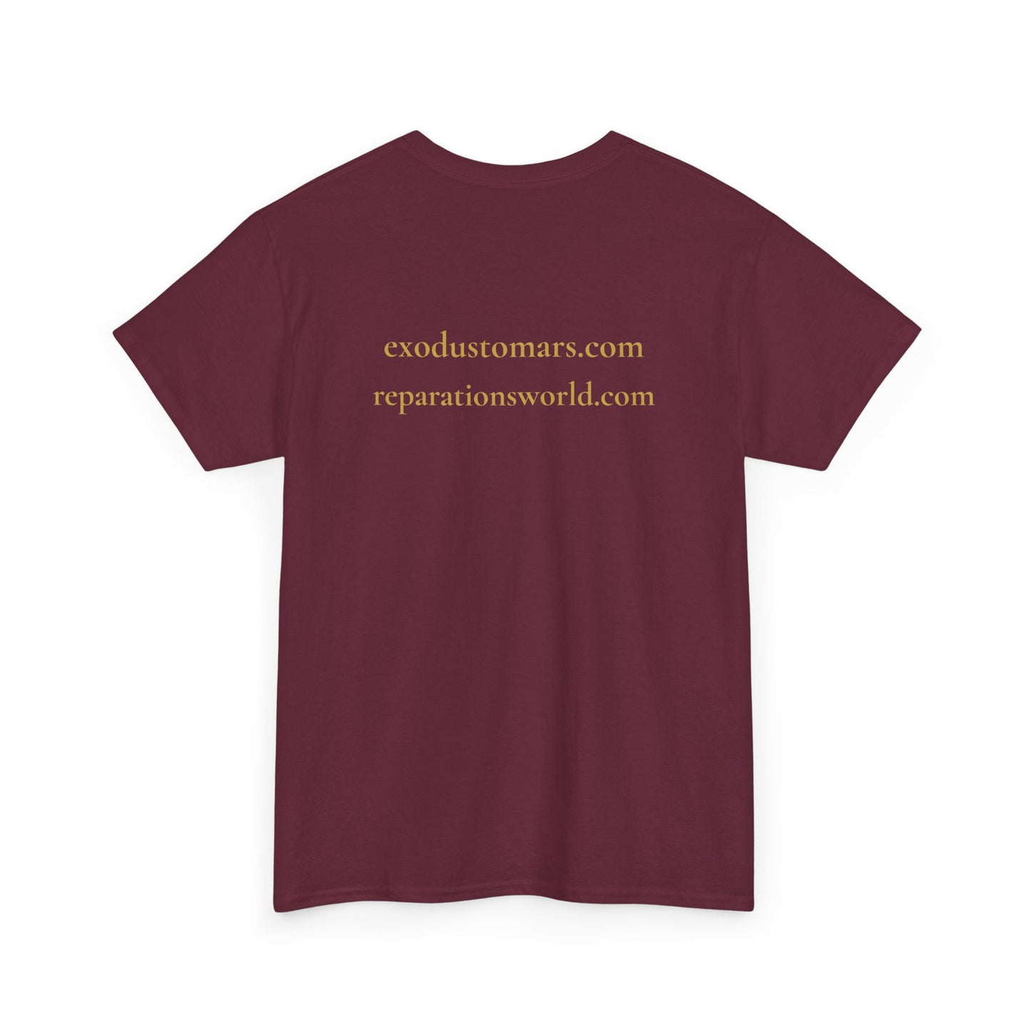 Detroit Is a Stargate | Exodus To Mars Protest Tee | Sky Queen Mother
