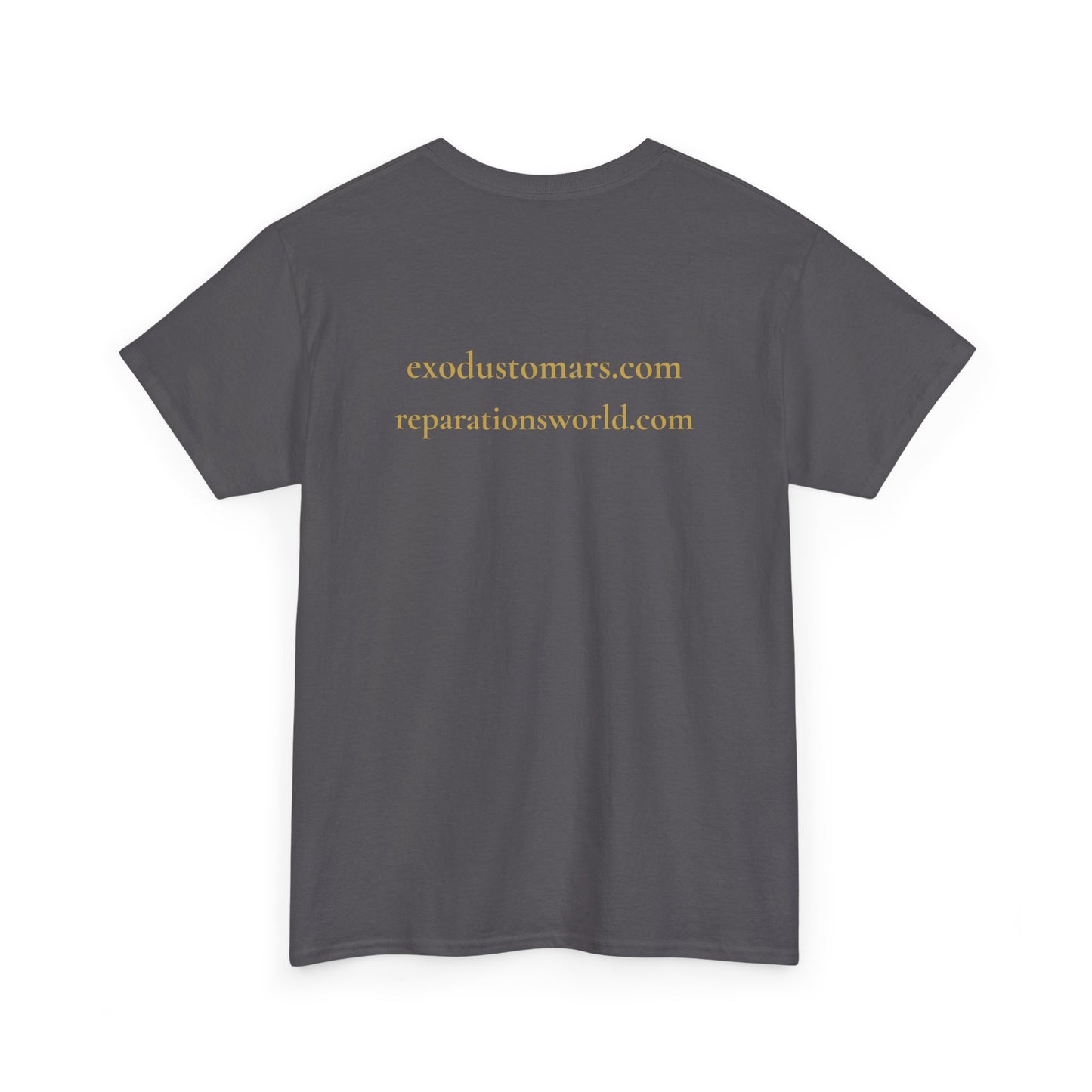 Repatriate the Rosetta Stone to Egypt | Protest Tee | Sky Queen Mother