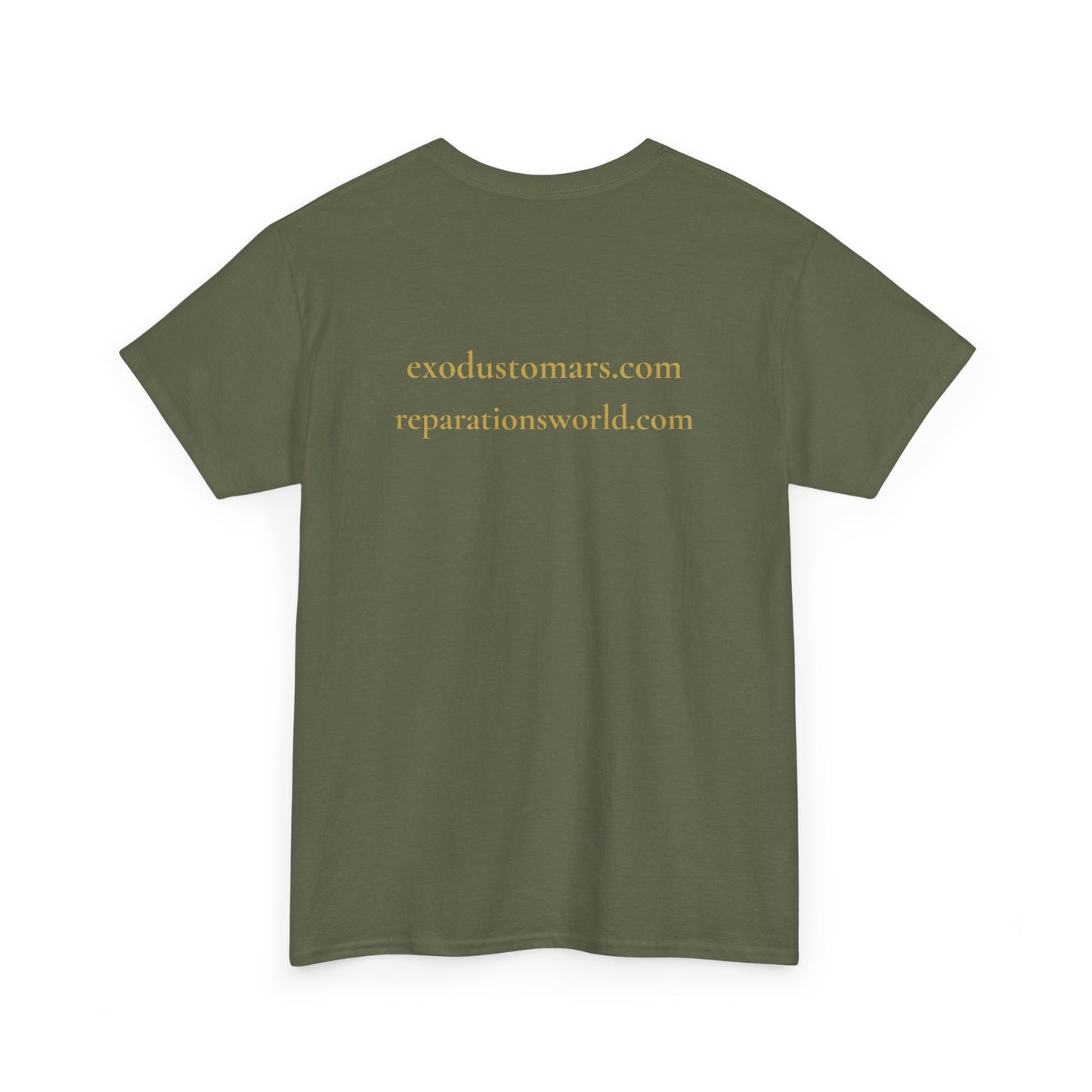 Resurrection Is a Frequency | Nehanda Zimbabwe Protest Tee | Sky Queen Mother