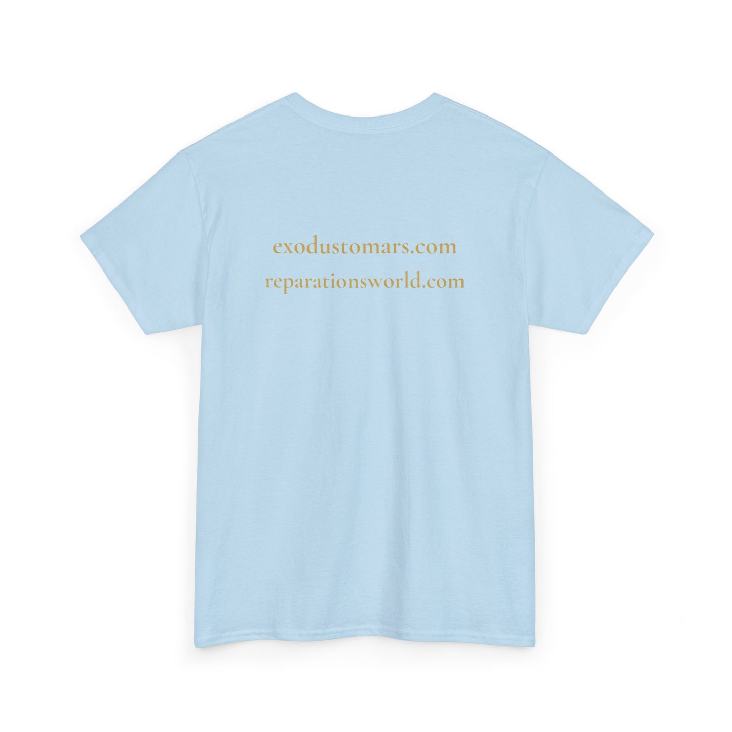 Detroit Is a Stargate | Exodus To Mars Protest Tee | Sky Queen Mother