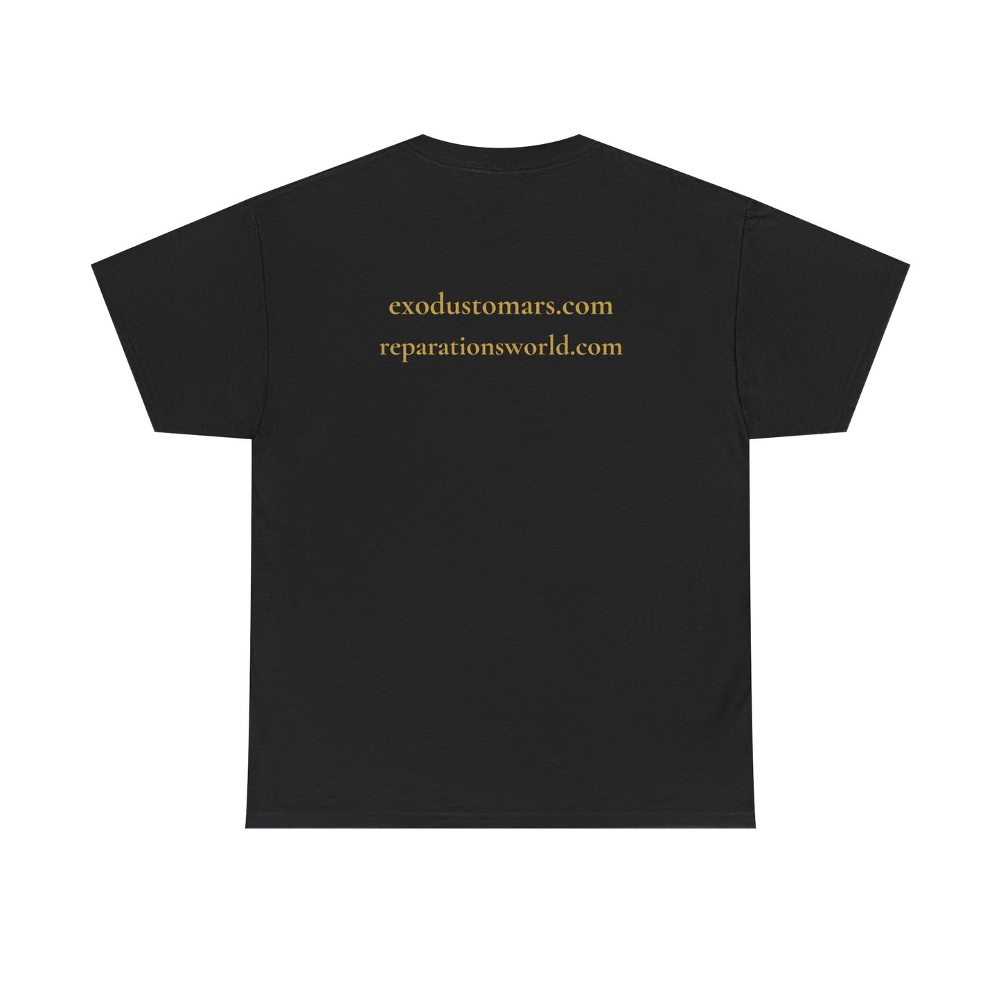 My Bones Will Surely Rise | Nehanda Repatriation Protest Tee | Sky Queen Mother