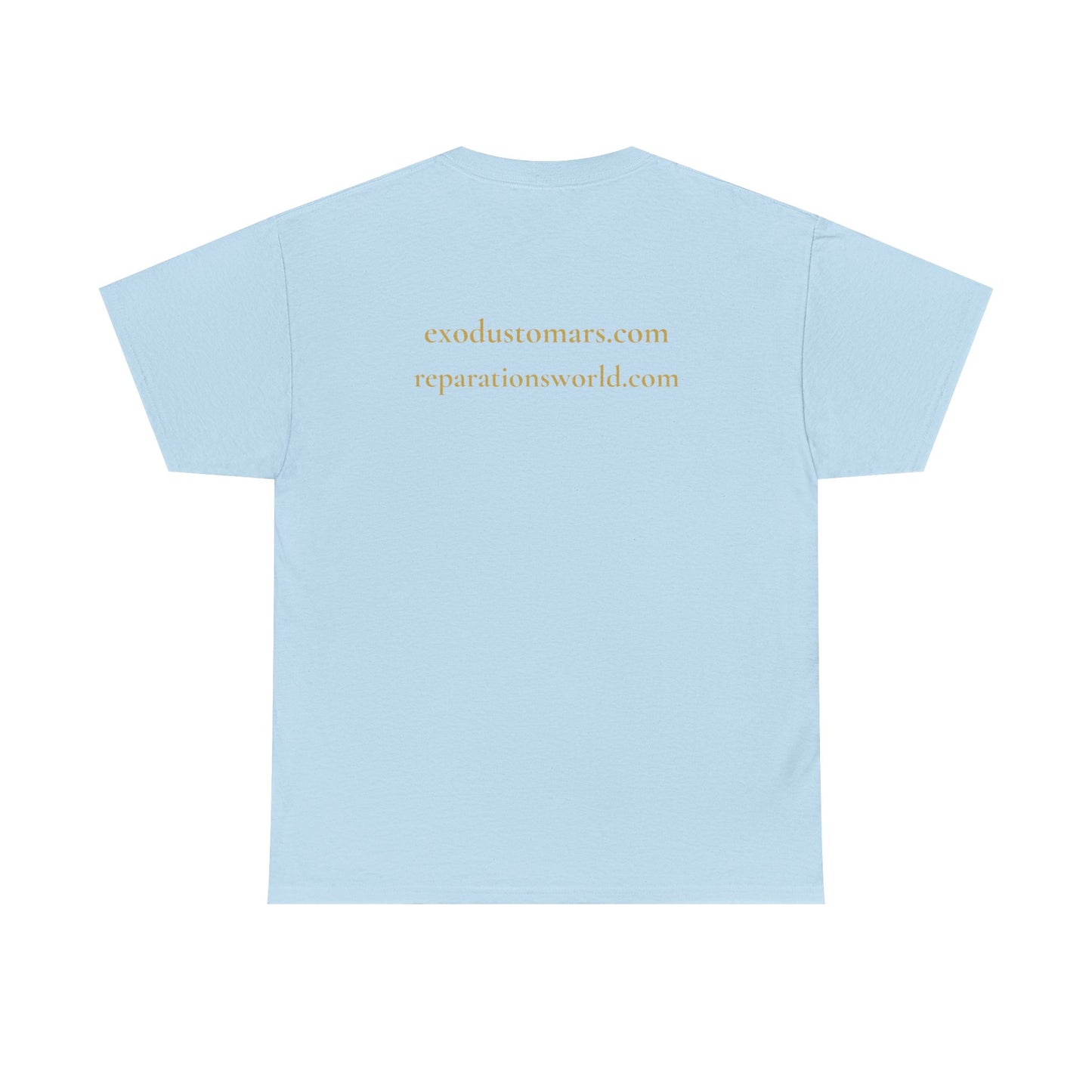 Resurrection Is a Frequency | Nehanda Zimbabwe Protest Tee | Sky Queen Mother