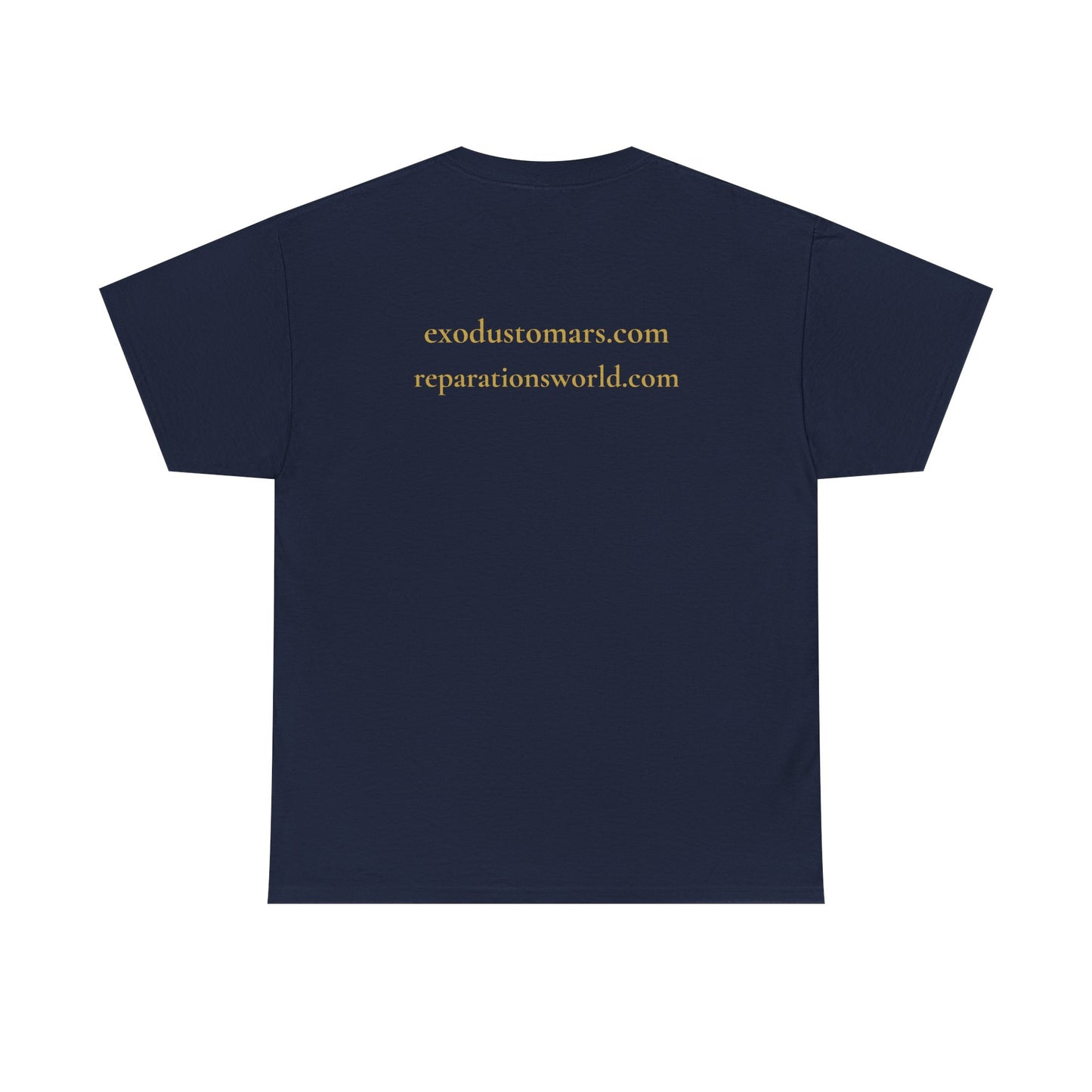Detroit Is a Stargate | Exodus To Mars Protest Tee | Sky Queen Mother
