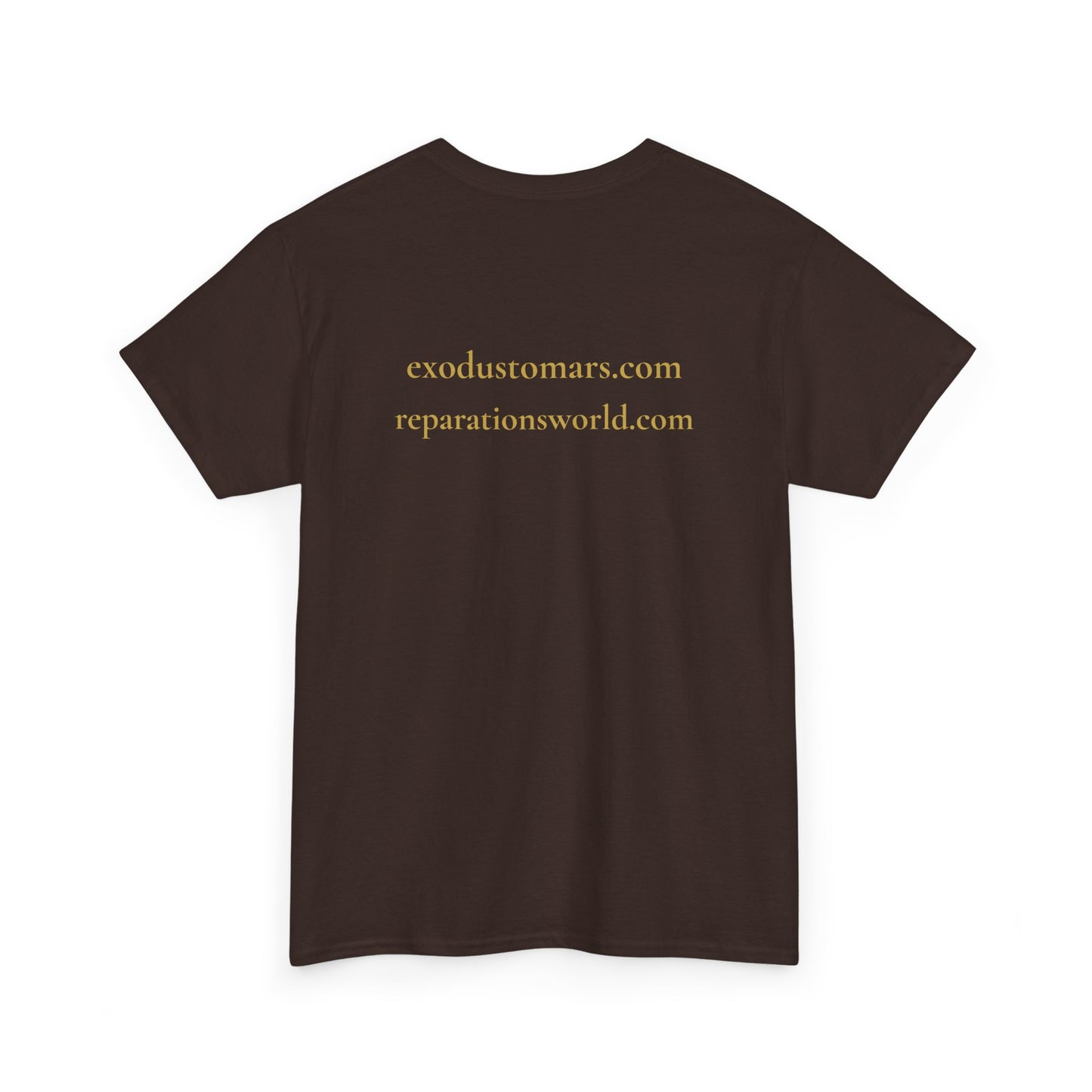 Repatriate the Rosetta Stone to Egypt | Protest Tee | Sky Queen Mother