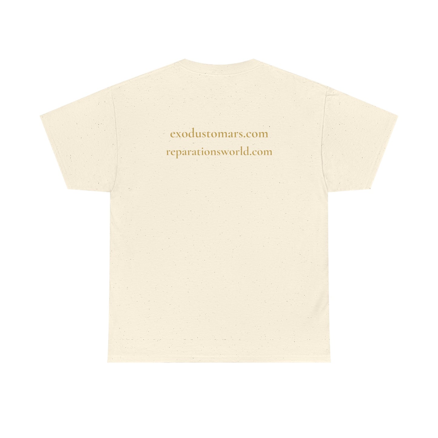 Repatriate the Rosetta Stone to Egypt | Protest Tee | Sky Queen Mother