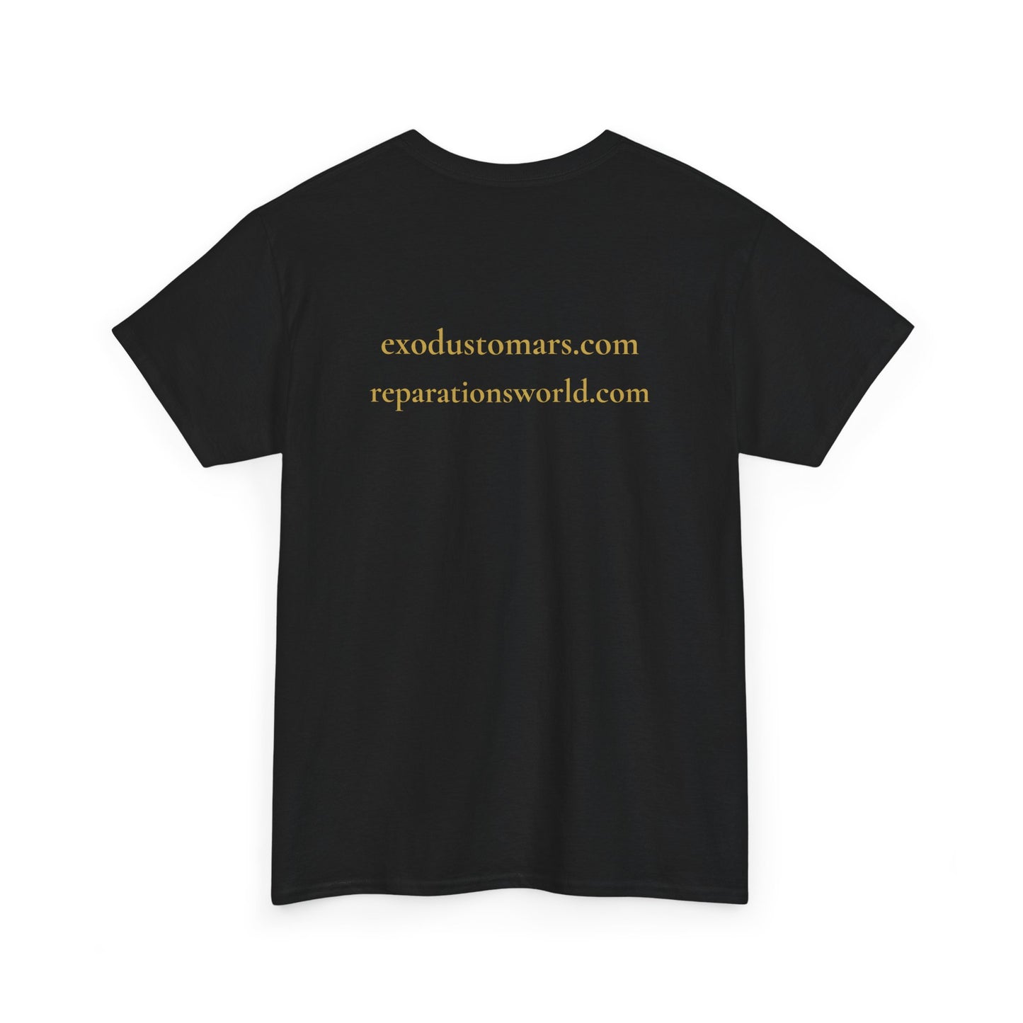Repatriate the Rosetta Stone to Egypt | Protest Tee | Sky Queen Mother