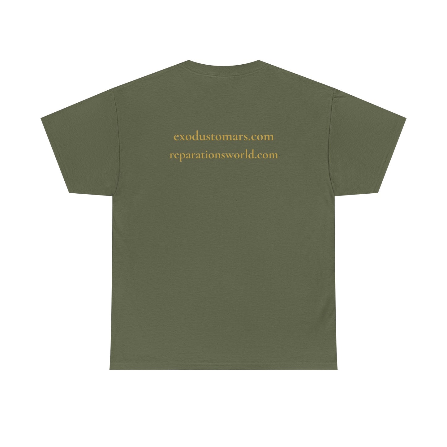 Detroit Is a Stargate | Exodus To Mars Protest Tee | Sky Queen Mother