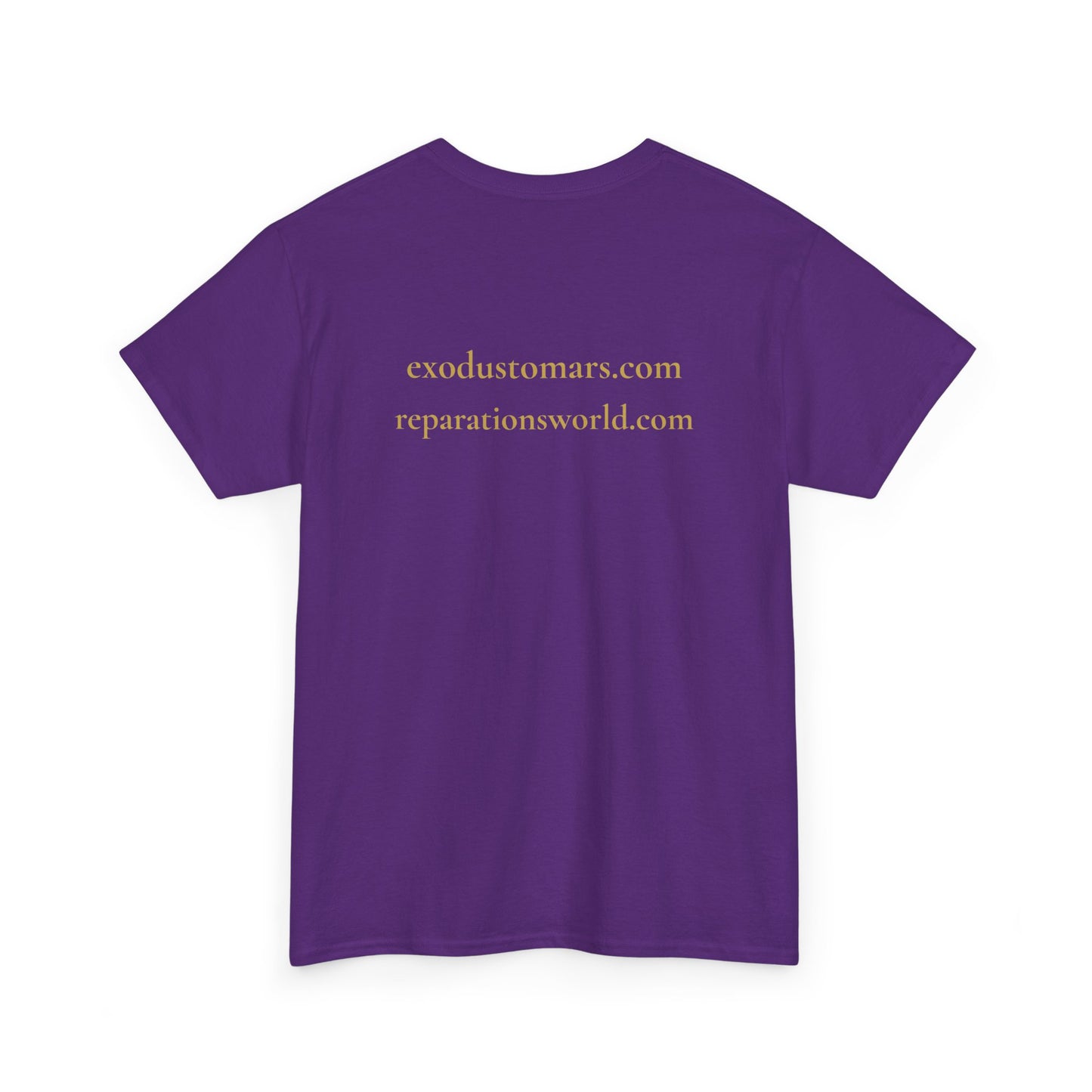 Detroit Is a Stargate | Exodus To Mars Protest Tee | Sky Queen Mother