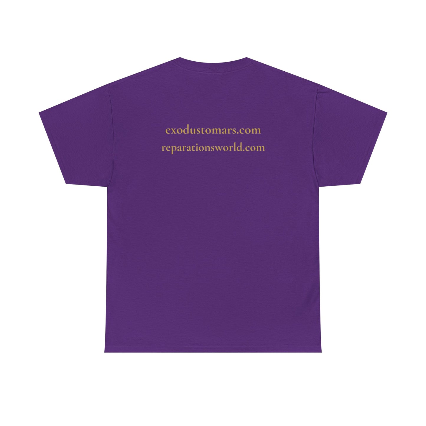 Resurrection Is a Frequency | Nehanda Zimbabwe Protest Tee | Sky Queen Mother