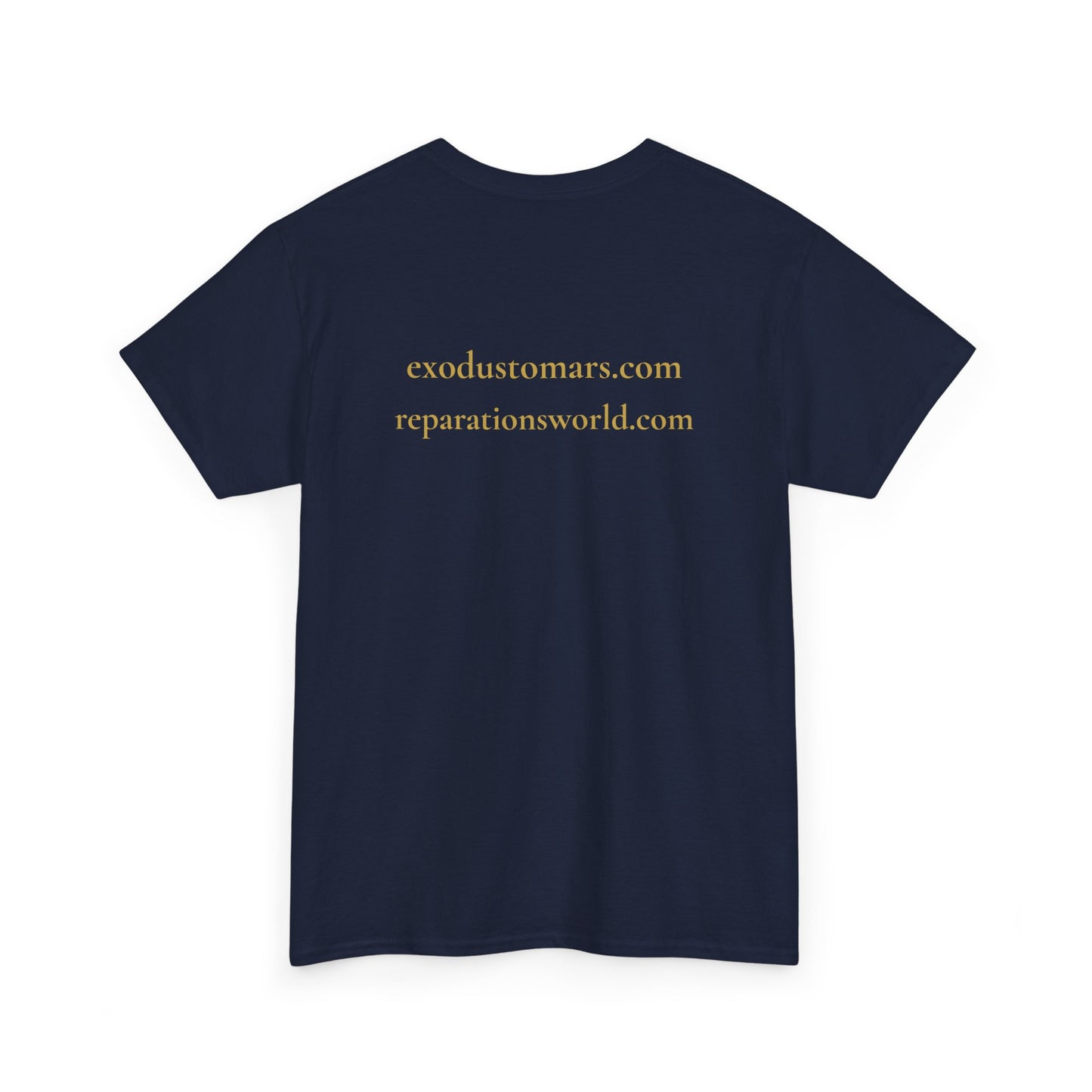 Detroit Is a Stargate | Exodus To Mars Protest Tee | Sky Queen Mother