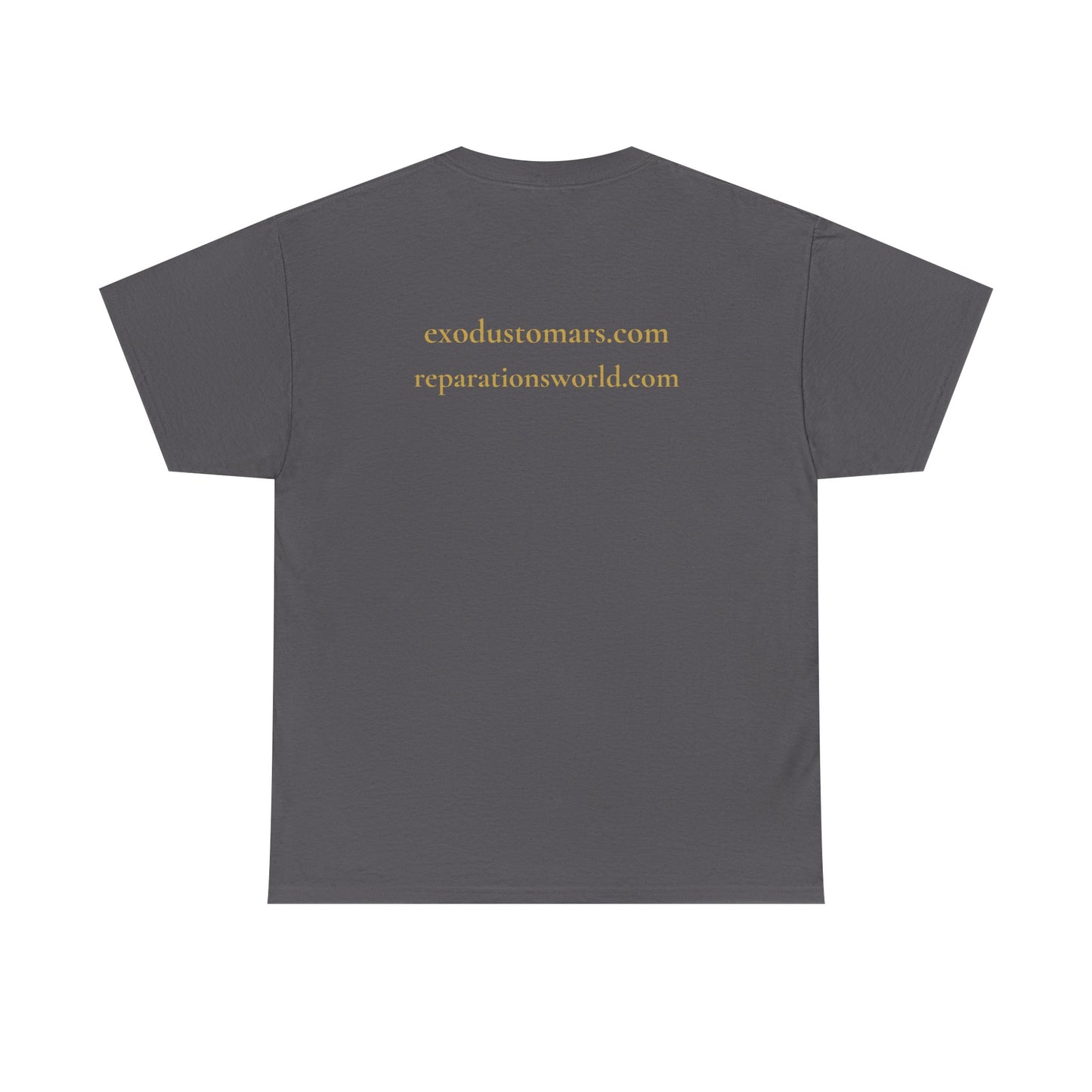 Detroit Is a Stargate | Exodus To Mars Protest Tee | Sky Queen Mother